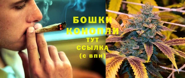 ГАЛЛЮЦИНОГЕННЫЕ ГРИБЫ Кулебаки