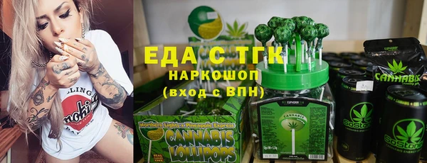 индика Кулебаки